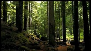 El Chambo - Los Norteñitos De Michoacán | Eleazar Mendoza