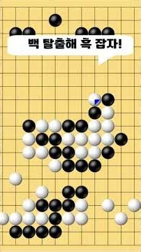 백 탈출해 흑 잡자! 타이젬바둑 5단기보 바다바둑두기입니다 #바둑배우기 #초보바둑두기 #재미있는 바둑
