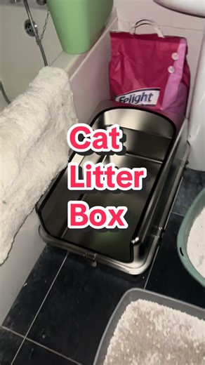Upgrading Cat Litter Boxes for Comfort and Privacy