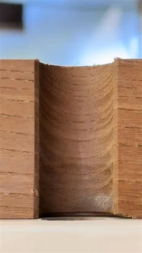 Crafting a Unique Dovetail Box #woodworking #diy #asmr #wood #jig | Linwood Sanders