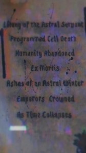 Hybrid Nightmares on Reels