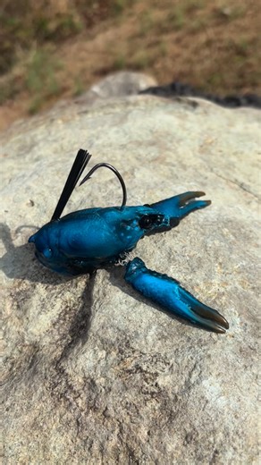 Tay🎣💯🎣 on Instagram: "Huge shout out to my good friend @buck_tail_johnnys he makes some of the most unique and beautiful fishing lures around! This time we got one of his Stream Sweepers in Blue Ball Craw the reason I chose this color is because Ik bass like blue craws little inside information for ya if you didn’t know that. Mr Buck Tail Johnnys nailed it looks incredible it looks just like the real thing spot on! #bucktailjohnnys #fishinizlivin #custommadefishinglures #imhappy #customfishin