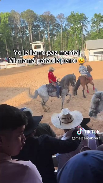 Melcer Cabrera on TikTok