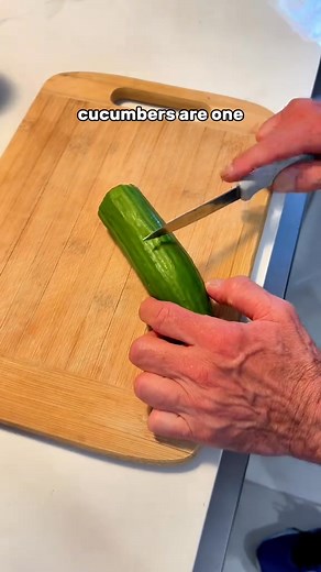 92K views · 732 reactions | Best food for plecos Fish  #usareels #pets #fishkeeping | Trip Aquarium | Facebook