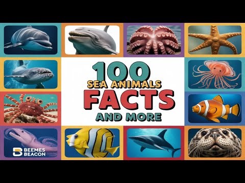 Count to 100 with Amazing Sea Animals!