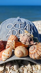 27K views · 1.7K reactions | Big shell piles in Ten Thousand islands Florida!  #shelling #seashellhunting #beachcombingfinds #shellyeah | The Seashell Mermaid | Facebook