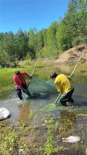 River ice fishing challenge on village #carpfishing #icefishing