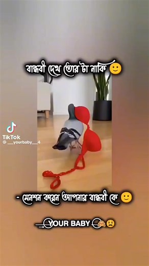 Engy (@engy58816)’s videos with original sound - Engy