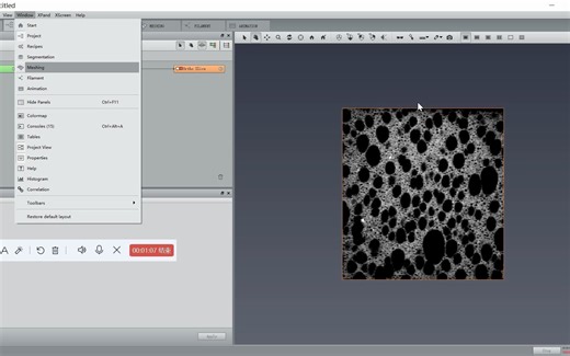 【AVIZO】Project View和Properties等界面的调取