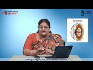 Techniques of Gene transfer into Plants and Animals