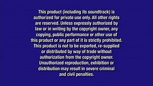 Opening To Brother Bear (US DVD, 2004)