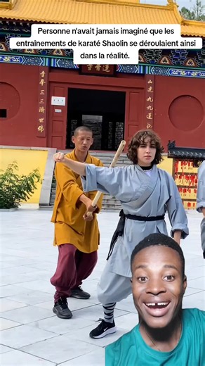 Personne n'avait jamais imaginé que les entraînements de karaté Shaolin se déroulaient ainsi dans la réalité #tiktokusa #haitianusa #pourtoii #story #kungfu