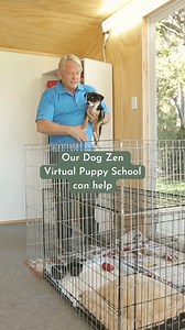 🌟 Discover the secret to raising a happy, well-behaved pup with Dog Zen. Our Virtual Puppy School offers expert guidance, personalised advice, and a supportive community. Start your training journey now! | Mark Vette - Animal Behaviourist