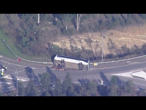 Driver charged after bus accident kills 10 wedding guests in Australia