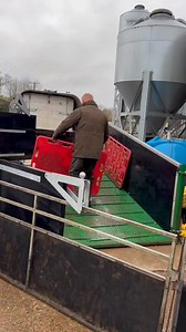 Moving pigs in a Graham Edwards Power Deck! 🐖 | Graham Edwards Trailers Ltd