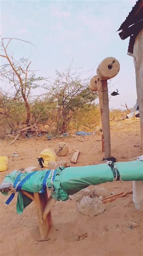 billyblanks09 (@billyblanks09)’s videos with original sound - Bruzzwillis