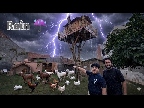 Mini Zoo Main Rain 🌧️ Tabahi 😭 || Shehr Main Dihat