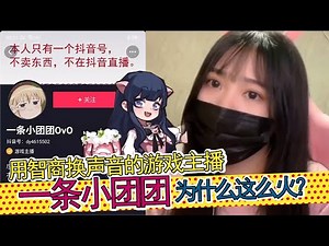 【一条小团团】为什么这么火？真的是用智商换声音？