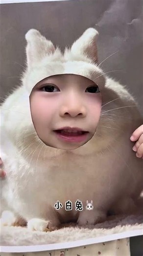 Cute Baby Animals in the Zoo: A Heartwarming Adventure