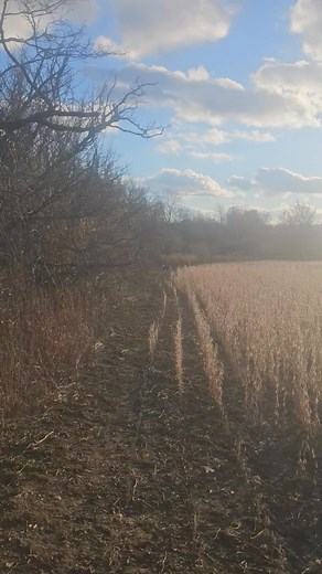 David Berry on Reels