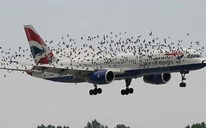 汤姆森航空波音757遭遇鸟击 紧急返场全纪录