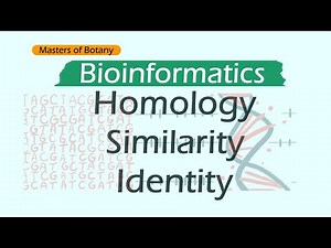 Homology, Similarity and Identity | Bioinformatics