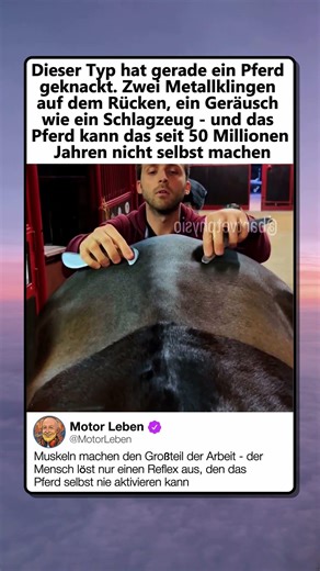 REFLEX DEN KEIN PFERD SELBST AUSLÖST