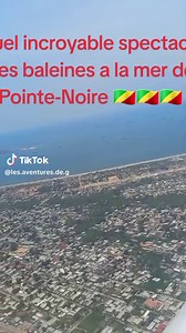 Incroyable découverte des baleines au large de la mer de Pointe-Noire chez moi au Congo🇨🇬🇨🇬🇨🇬 c'est tellement beau à voir #congobrazzaville242🇨🇬 #pointenoirecongo🇨🇬😍🥰❤️ #chezmoiaucongo🇨🇬 #jaimelecongo🇨🇬🇨🇩 #Afrique #reportage #viraltiktok #viralvideo #congomonpays🇨🇬 #babyetoile #gracedésirée #voyageur #tf1officiel #tf1reportage #baleineapointenoire