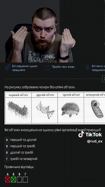 Матриця: Глибокий Аналіз у Мортиції