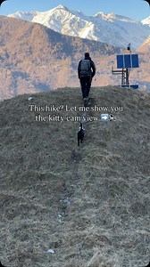 108K reactions · 121 shares | Pros of the kitty cam? Pawsies ASMR! Good views, and Luna can also cheer us up, she know when one is staying behind and won’t leave it alone 凉️ Lake Como is beautiful from up here @insta360 #insta360go3s #kittycam #insta360catcam #lakecomo #mountains #adventurecat #hikingwithcats | Lunadventurecat | Facebook