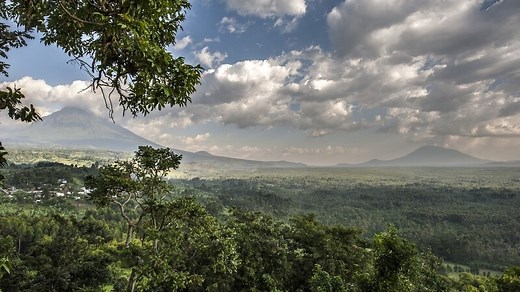 The Democratic Republic of Congo to create the Earth’s largest protected tropical forest reserve