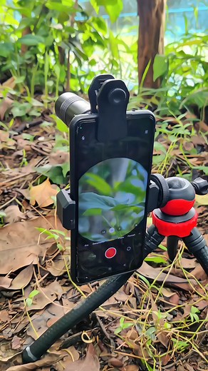 Redmi Note 9 Pro Apexel 6x20 Telephoto Lens. #apexellens #apexelphotography | Ahmed The Nature Lover