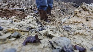 Women's Cowboy Boots in Clay