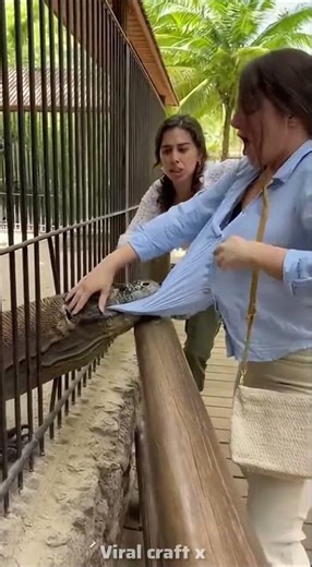 Komodo dragon attack on girl