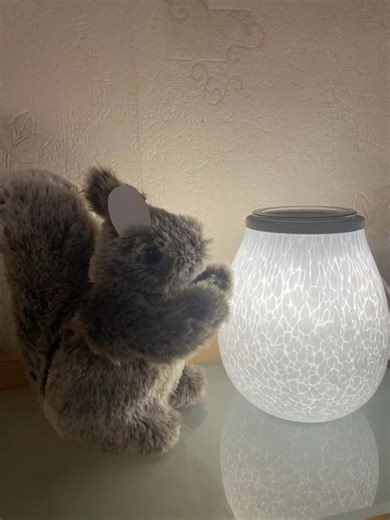 Mon diffuseur chouchou 49,67€ au lieu de 70,95€ https://virginiegautret.partylite.fr @à la une | Virginie Gautret Partylite