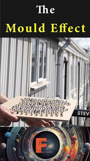 The Mould Effect #funfacts #science #knowledge #physics