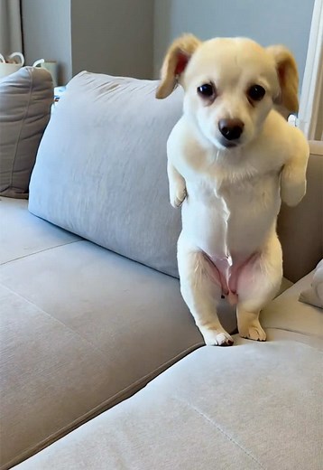 AIで踊る！ダンス動画特集