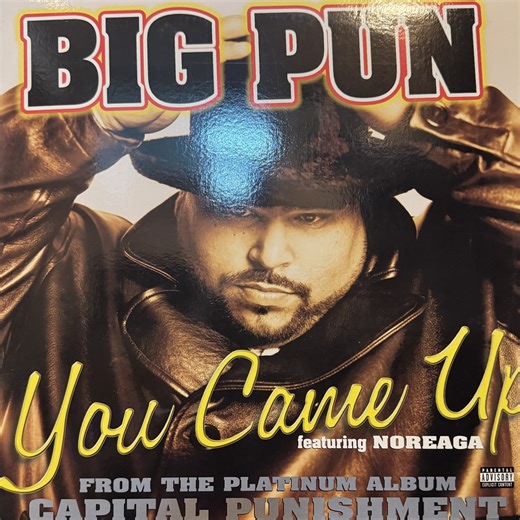 Big Pun feat. Noreaga - You Came Up (12'')