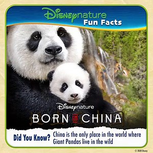 2K views · 134 reactions | Fun Facts! Gather the family for an...