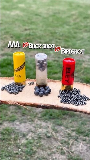 Birdshot Vs Buckshot’s #review