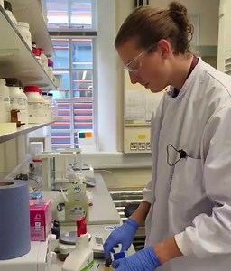 A day in the life of a research assistant