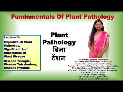 Objective Significant And Importance Of Plant Disease, Disease Triangle, Tetrahedron & Pyramid