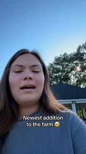 1.1K views · 3.1K reactions | It’s so sweet 凉 #calf #cows #farm #thehobbyfarm #trendingfarmcontent #cowcontent #mamacow | The Hobby Farm | Facebook