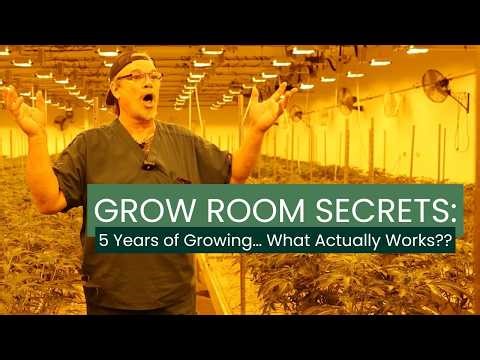 Grow Room Secrets: Inside Our Cultivation Process