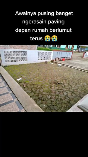 Tutorial menghilangkan lumut di paving #fypdongggggggg #fypシ #foryoupage
