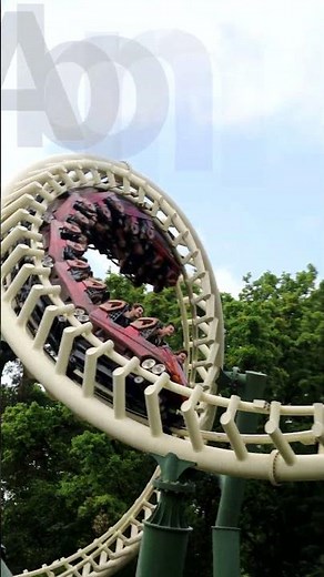 De Python rijd een rondje! - 22-06-2024 - Efteling