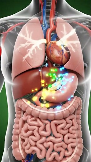 How Banana Nourishes Women’s Body, 3D Medical Animation #Shorts