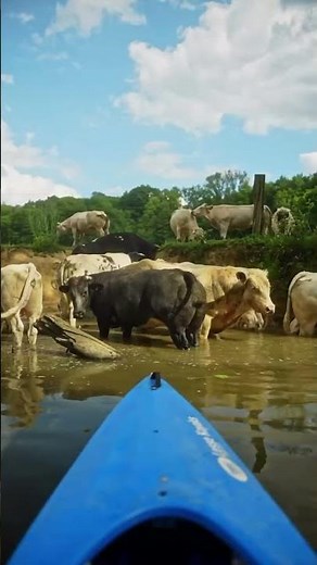 Une balade sur l’eau immanquable en Belgique 🇧🇪