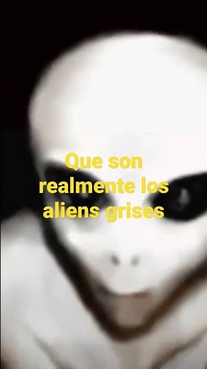 Que son realmente los alienigenas grises?