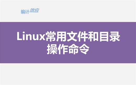 2023最新线下教学 Linux对文件的操作 理论+实操
